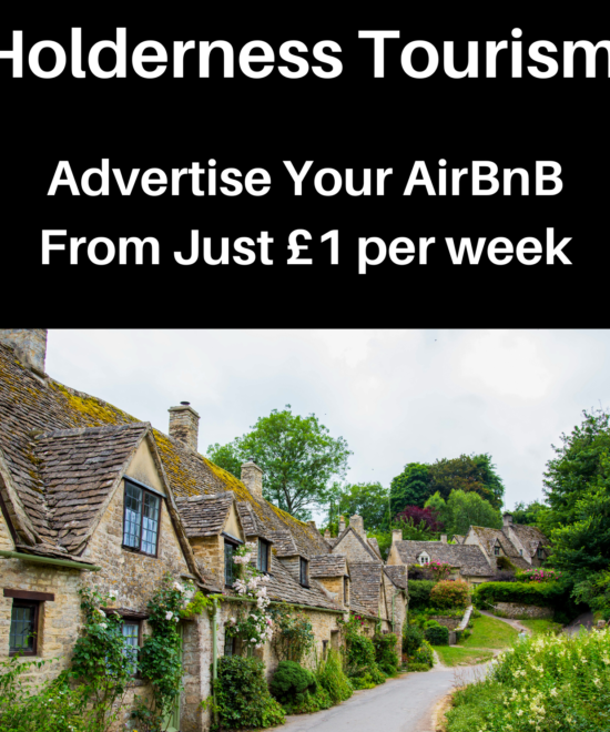 Your Company Can Advertise Here