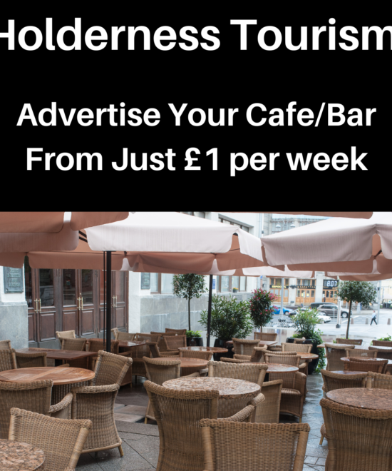 Your Company Can Advertise Here