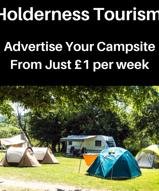 Your Company Can Advertise Here